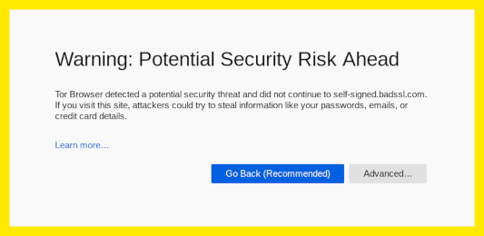 Warning: Potential Security Risk
Ahead
