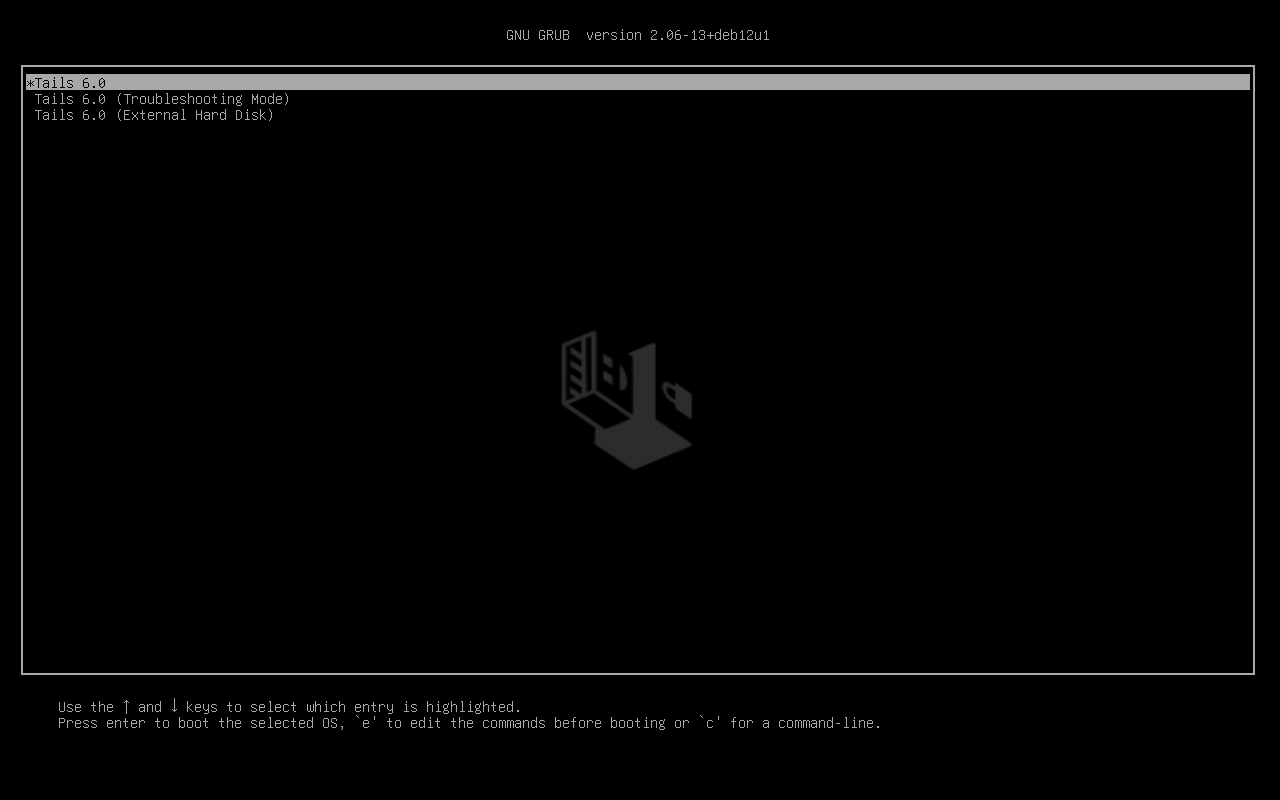 Schwarzer Bildschirm
('GNU GRUB') mit Tails-Logo und 2 Optionen: 'Tails' und 'Tails
(Fehlerbehebungsmodus)'.